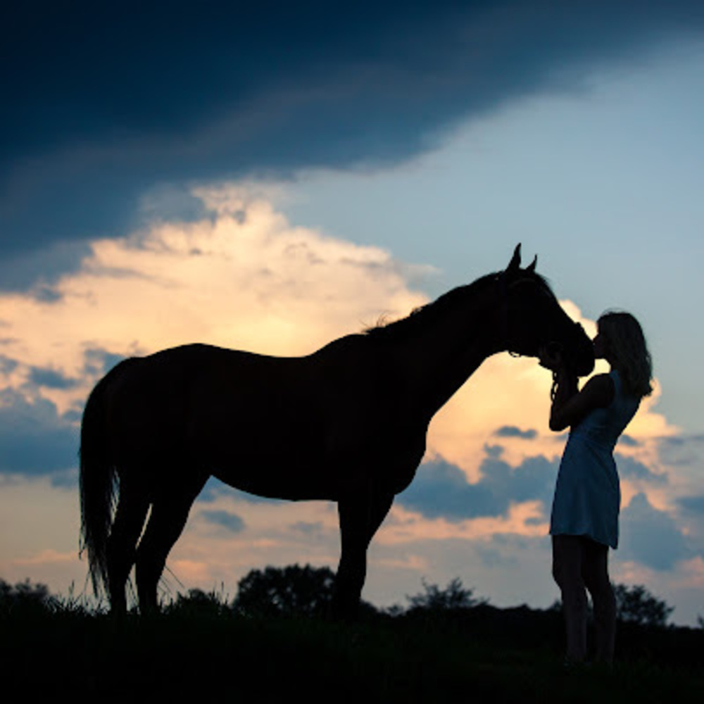 Meet your Posher, Annaliese